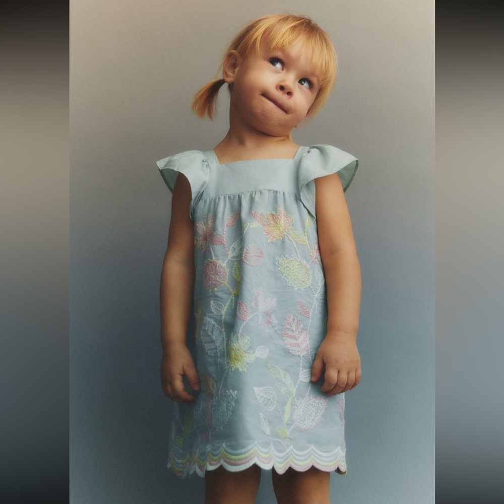 Zara girls embroidered floral dress size 3-4 floral multicolor